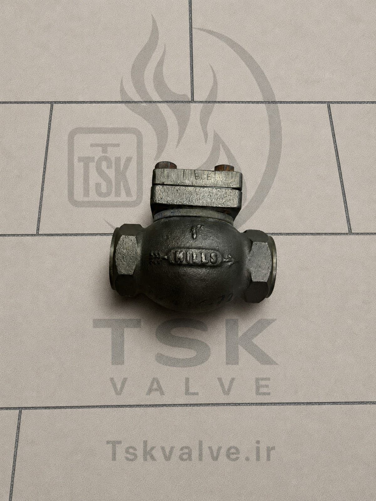 Shipham 1 inch Class 800 C95800 npt check valve