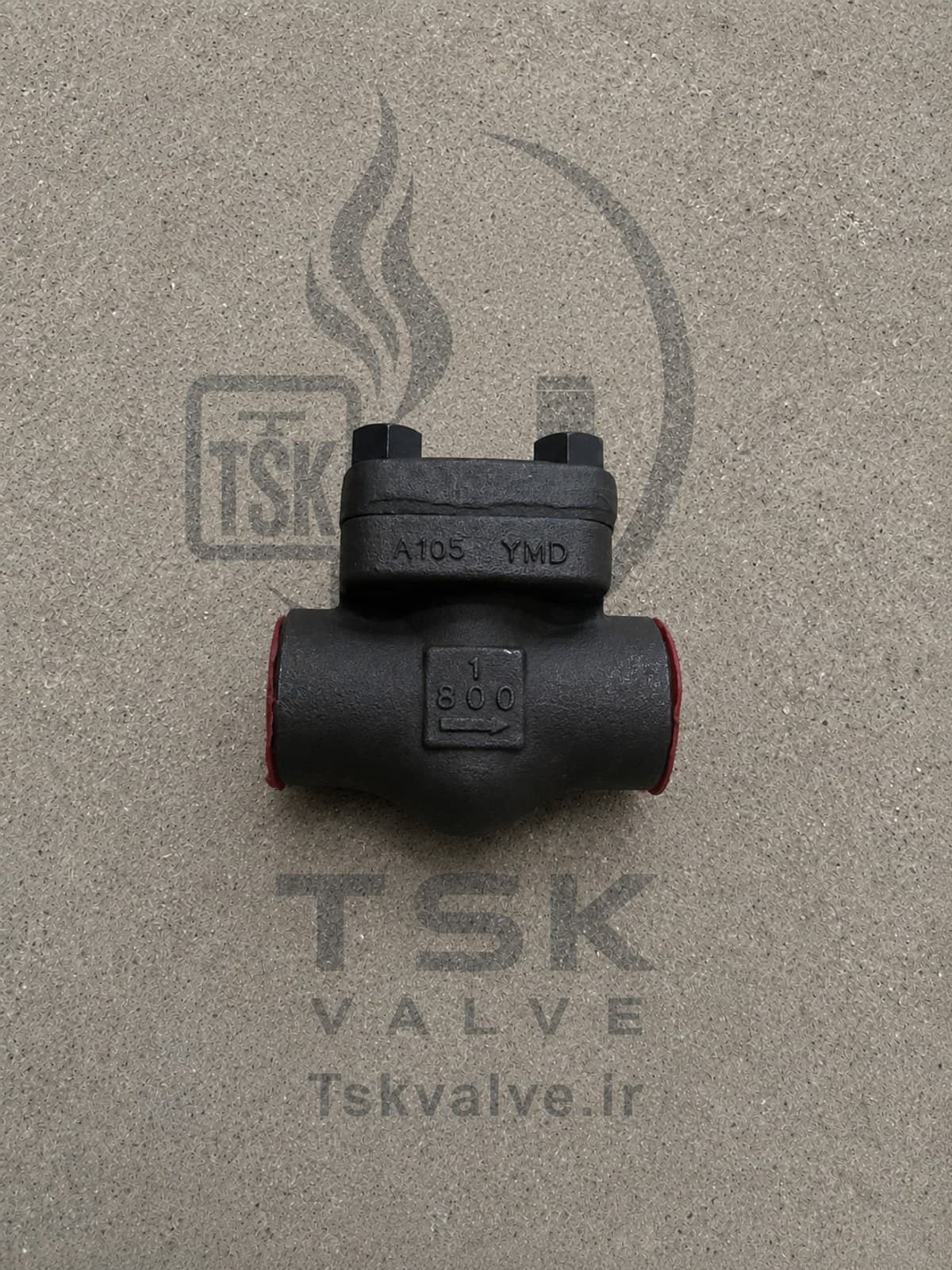 Dong Kang 1 inch Class 800 A105 socket weld (sw) check valve