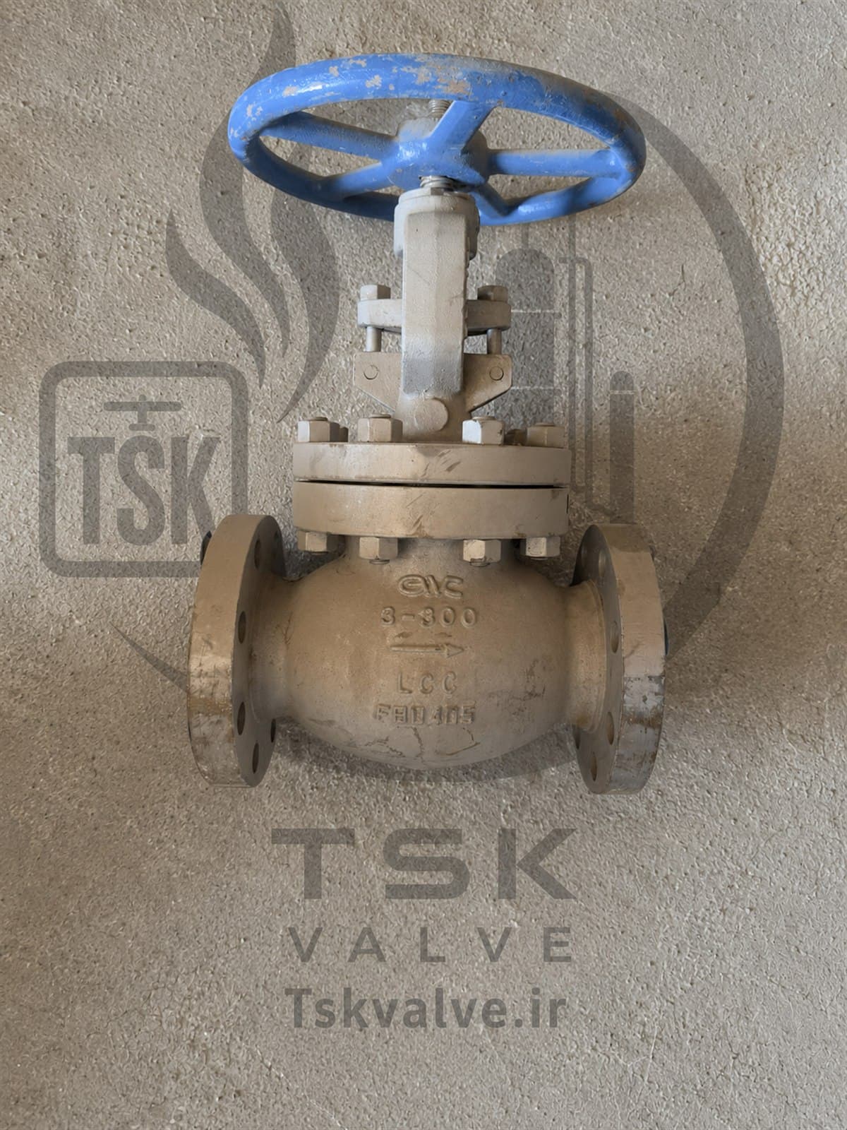 GWC 3 inch Class 300 LCC flanged gate valve