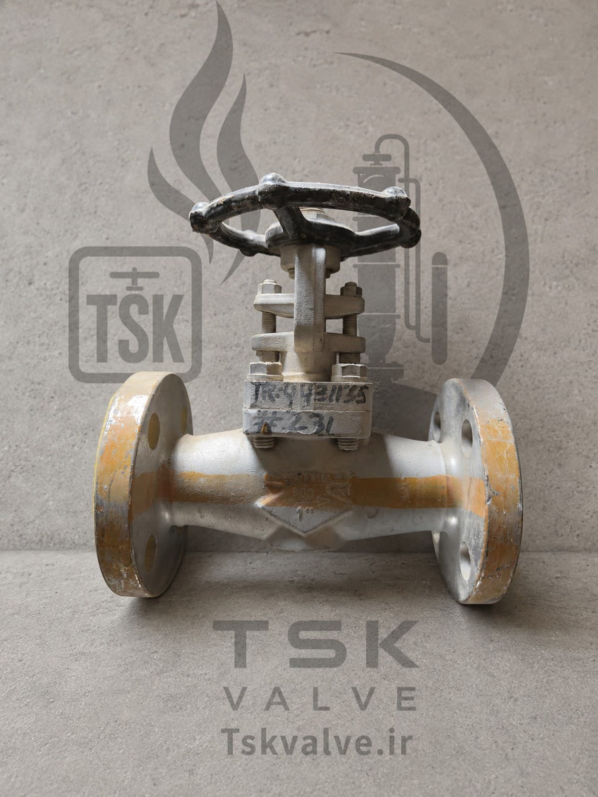 OMB 1 inch Class 600 F316L flanged gate valve