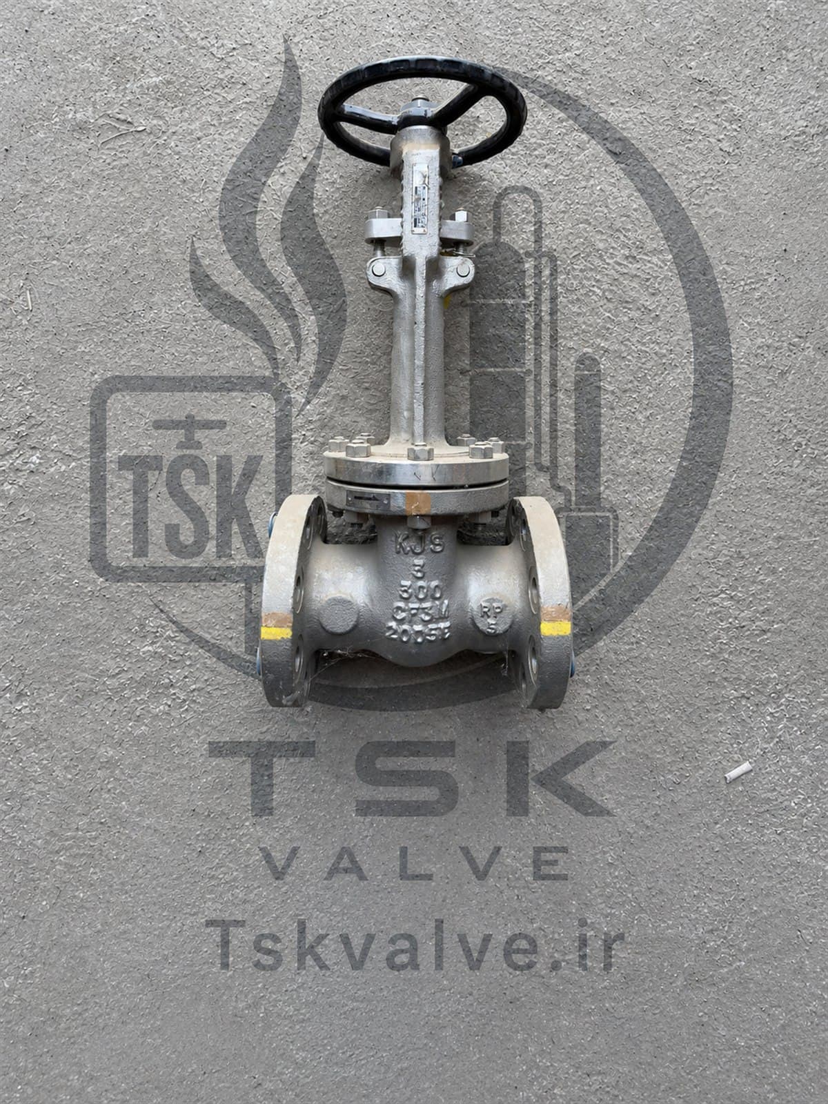 KJS 3 inch Class 300 CF3M flanged gate valve