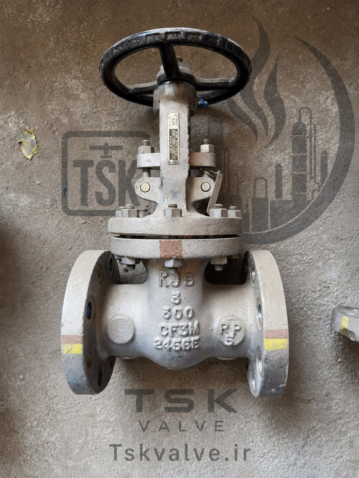 KJS 3 inch Class 300 CF3M flanged gate valve