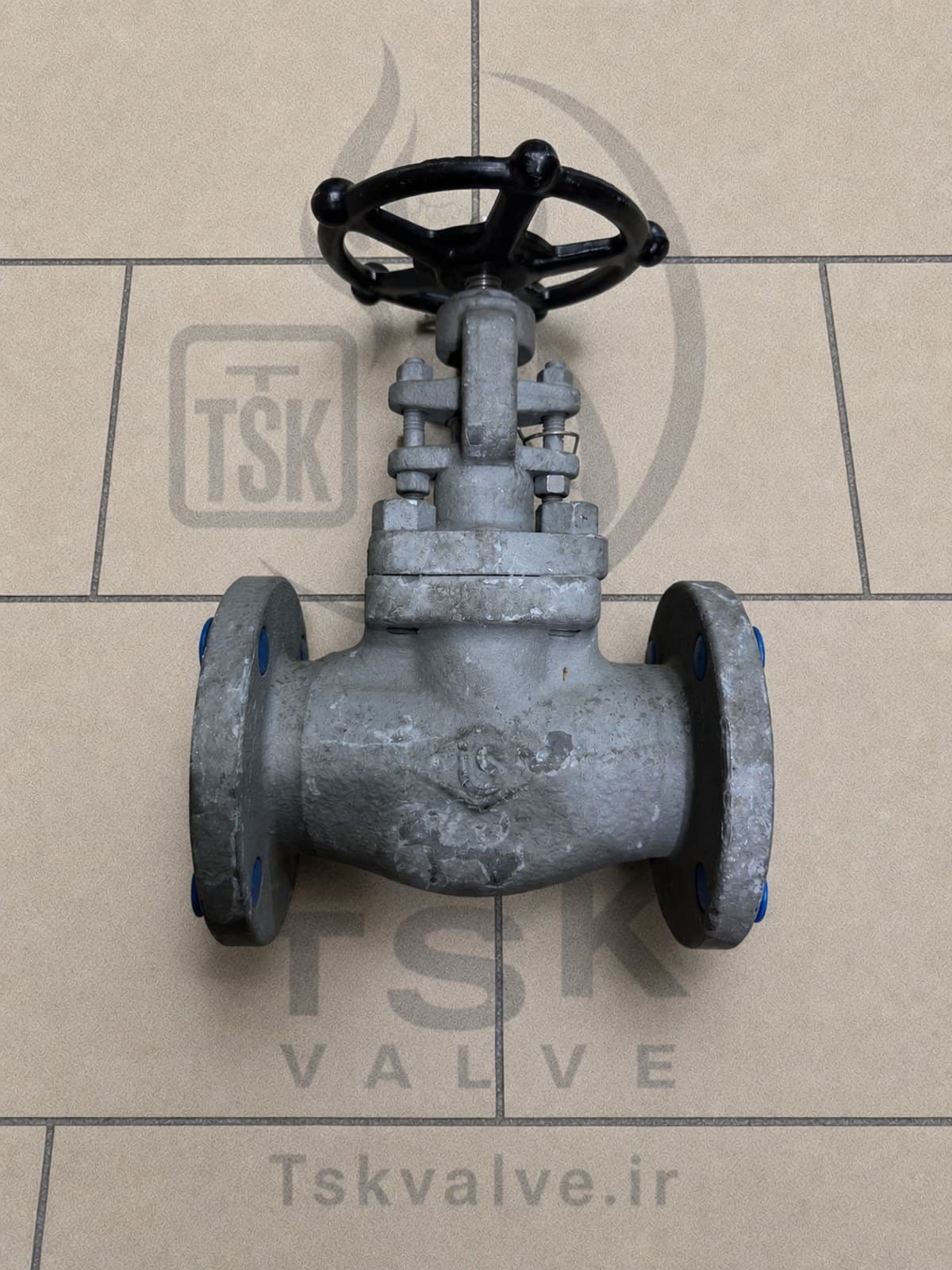 ILSHIN 2 inch Class 150 A105N flanged globe valve